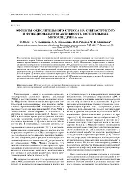 Активность митохондрий в условиях стресса