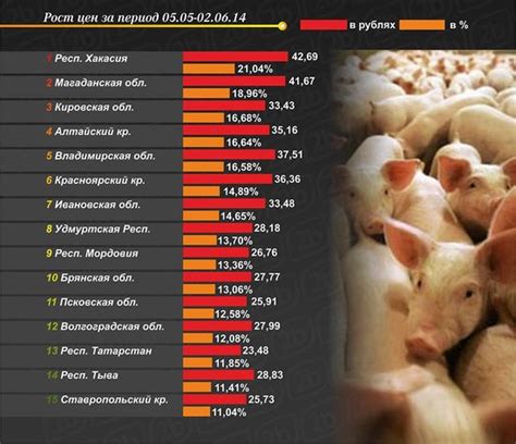 Актуальность табу на свинину в современном мире