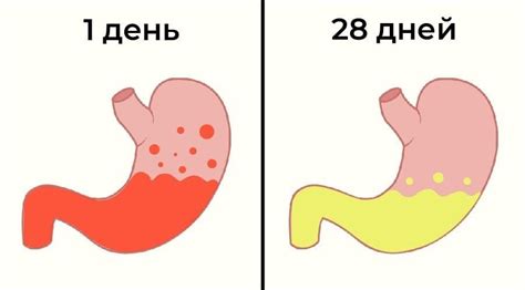 Алкоголь и пищеварение