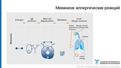 Аллергические реакции и воспаление