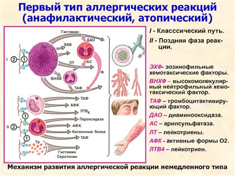 Аллергические реакции и давление