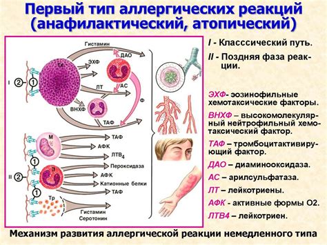 Аллергические реакции и негативные симптомы