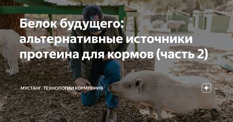 Альтернативные варианты кормления