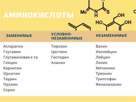 Аминокислоты: определение и классификация