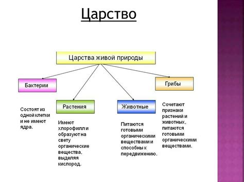 Анализируйте характерные признаки