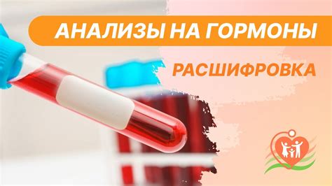 Анализ гормонов ЛГ и ФСГ