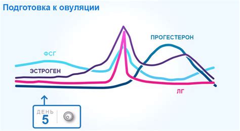 Анализ прогестерона на 21-й день цикла