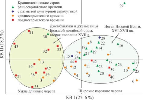 Антропологические характеристики Сарматов