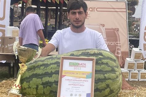 Арбуз - ласковый гигант садового урожая