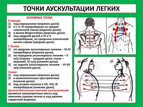 Аускультация легких при дыхании