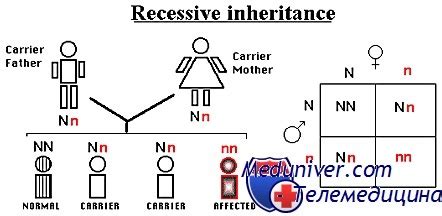 Аутосомное рецессивное наследование
