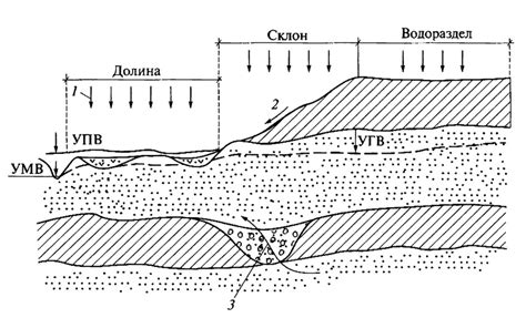 Балансирование питания и водного режима