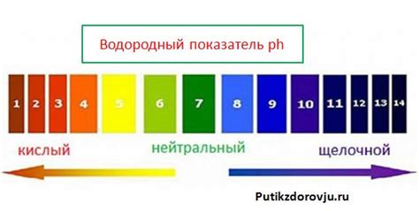 Баланс в кислотно-щелочном равновесии