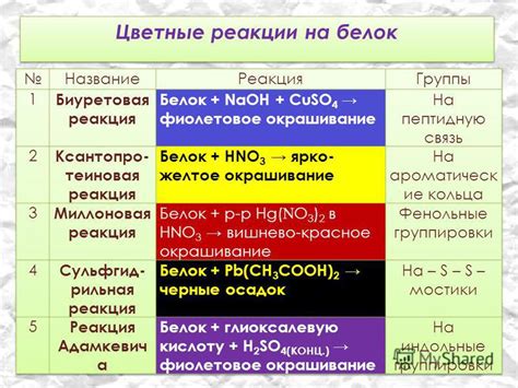 Белки и их реакция на присутствие активированного угля