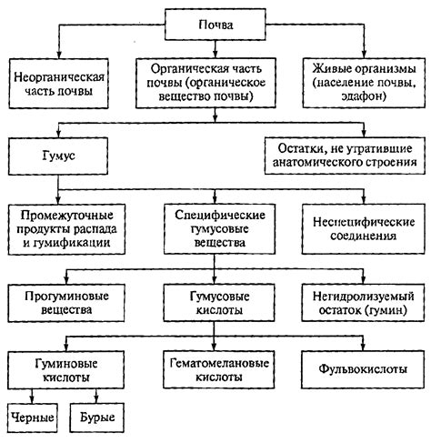 Биогенез и вкрапления органических остатков