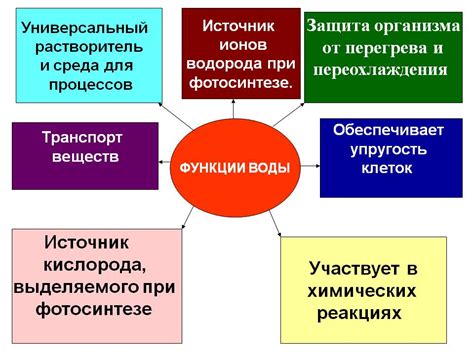 Биологическая активность и функции