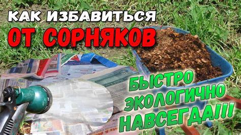 Биологические методы защиты от сорняков