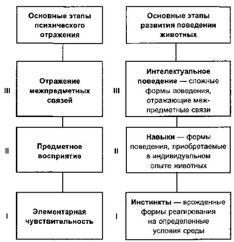 Биология и психология поведения животных