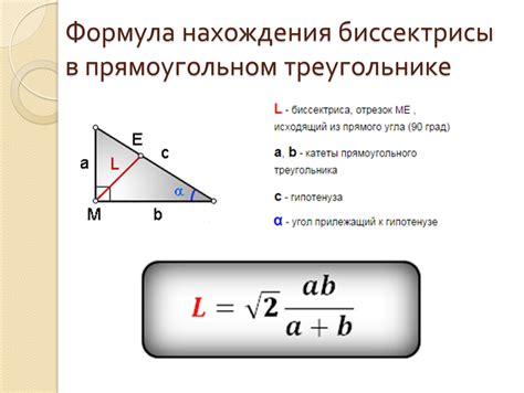 Биссектриса треугольника