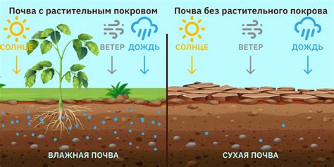 Благоприятное влияние на почву