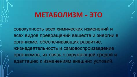 Важность ассимиляции для клеточного метаболизма