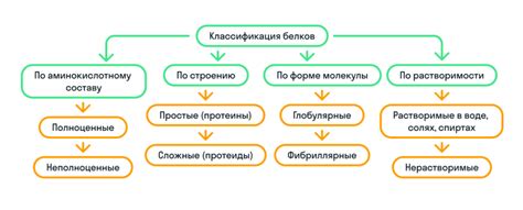 Важность белка для здоровья