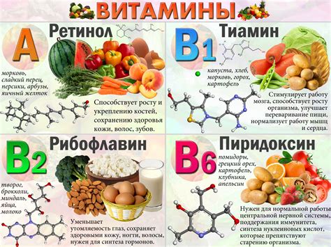 Важность витаминов В6 и B12 для организма