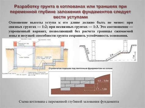 Важность выбора правильной высоты саженца