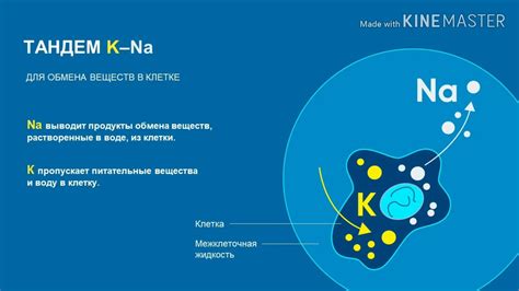 Важность гидратации для лечения