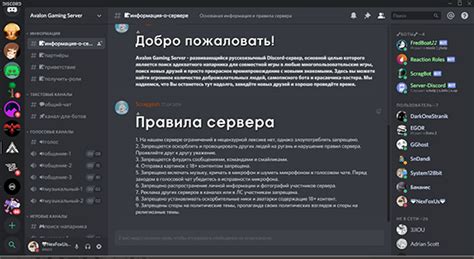 Важность правила "Не беспокой" в Discord