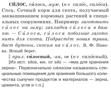 Важность правильного установления ударения в слове "силос"