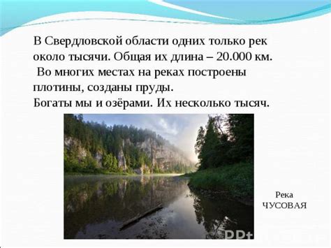 Важность сазана в экосистеме водоемов и его использование