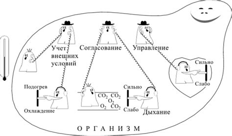 Важность управления жизнедеятельностью