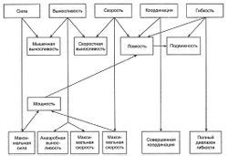 Важные физические качества