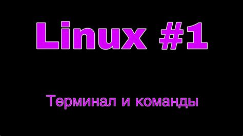 Ввод команд для невидимости