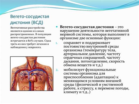 Вегето-сосудистая дистония головного мозга