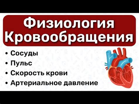 Венозный кровоток