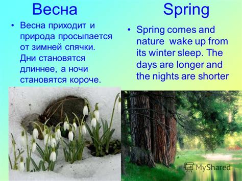 Весна - природа просыпается от зимней спячки