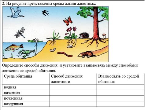 Взаимосвязь между средой обитания и средой жизни