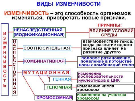 Виды изменчивости и ее измерение