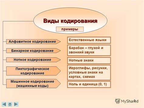 Виды кодирования в информационных технологиях