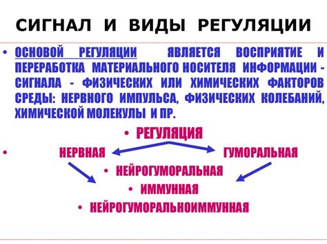 Виды нервной регуляции организма