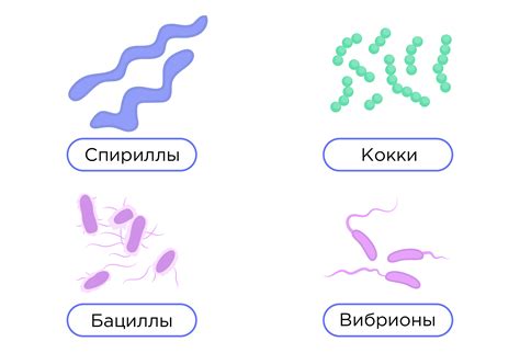 Виды плавков