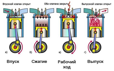 Виды сермионов и их применение