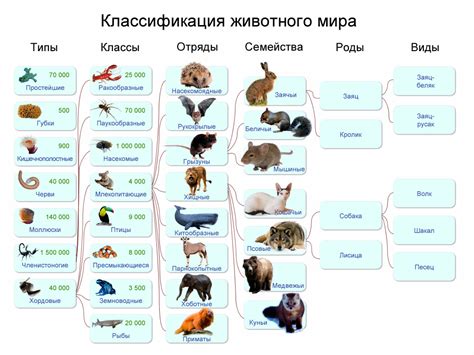 Виды шиберов и их различия