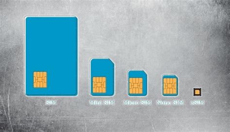 Виды SIM-карт: узнайте, какие бывают операторы и как выбрать подходящую SIM-карту