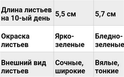 Влияние Ганзы на развитие европейской торговли