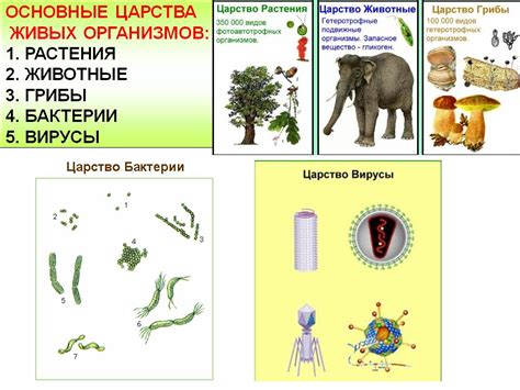 Влияние азотных соединений на живые организмы