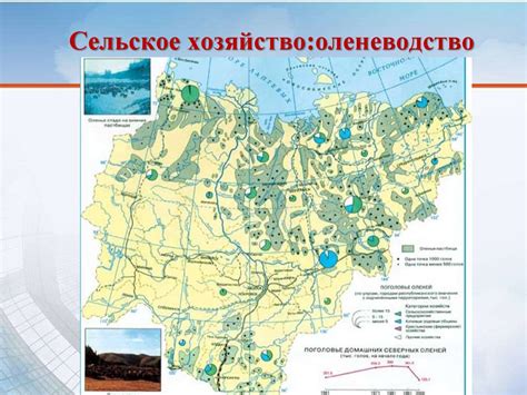 Влияние географического образования на карьеру