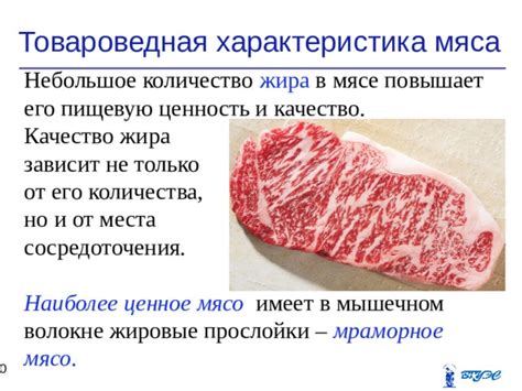 Влияние жира в мясе